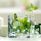 6-Pack Glass Flower Vases Heavy Duty Clear - Premium Table Centerpieces for Weddings 6"