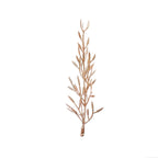 25-Pack Artificial Fern Leaf Branch Stems Metallic Gold - Versatile Faux Stems for Floral Bouquets Vase Displays & Event Decor 6"