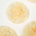 Set of 6 Ivory Cream Giant Carnation 3D Paper Flowers Wall Decor - 12",16",20"