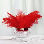 12 Pack 13"-15" Red Natural Plume Real Ostrich Feathers, DIY Centerpiece Fillers