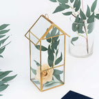 Glass Terrarium Hanging House Lantern Design Metal Gold - Versatile Holder for Air Plants & Displays 11"