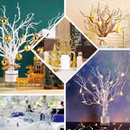 10-Pack Artificial Manzanita Tree Branch White for Vase Filler Home Wedding Centerpiece Ornament 14"
