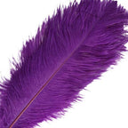 12 Pack 13"-15" Purple Natural Plume Real Ostrich Feathers, DIY Centerpiece Fillers