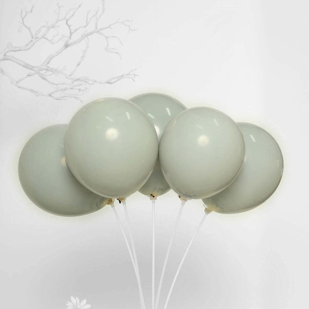 25 Pack 10" Matte Gray Double Stuffed Prepacked Latex Party Balloons