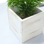 2 Pack 5" Whitewash Square Wood Planter Box Set With Removable Plastic Liners