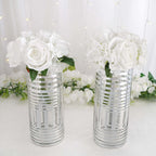 2-Pack Glass Cylinder Vases Silver Striped - Sophisticated Flower Centerpieces for Events 11"