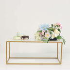 2-Pack Acrylic Plexiglass Sheets Rectangular Side Plates White - Protective Film Coating 32"x11"