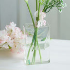 3-Pack Glass Wall Vase Hanging Trapezoid Design Indoor Planters - Modern Wall Mounted Terrariums for Living Spaces