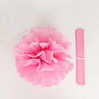 6 Pack 10" Pink Tissue Paper Pom Poms Flower Balls, Ceiling Wall Hanging Decorations