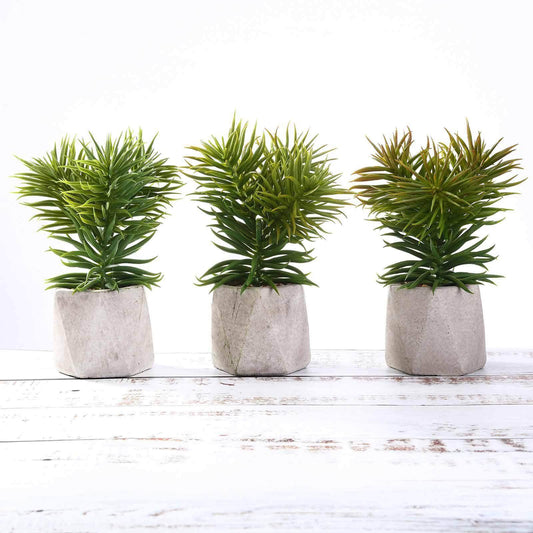 3-Pack Crassula Artificial Succulents in Geometric Ceramic Pot - Lifelike Decorative Faux Plants for Home Office & Event Design 8"