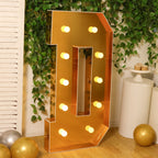 Giant LED Marquee Light Up Letter "D", Gold 4ft Pre - Cut Foam Board with 10 Warm White Battery Operated LEDs, Glue Gun and Sticks - Bell Racket Store