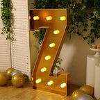 Giant LED Marquee Light Up Letter "Z", Gold 4ft Pre - Cut Foam Board with 10 Warm White Battery Operated LEDs, Glue Gun and Sticks - Bell Racket Store