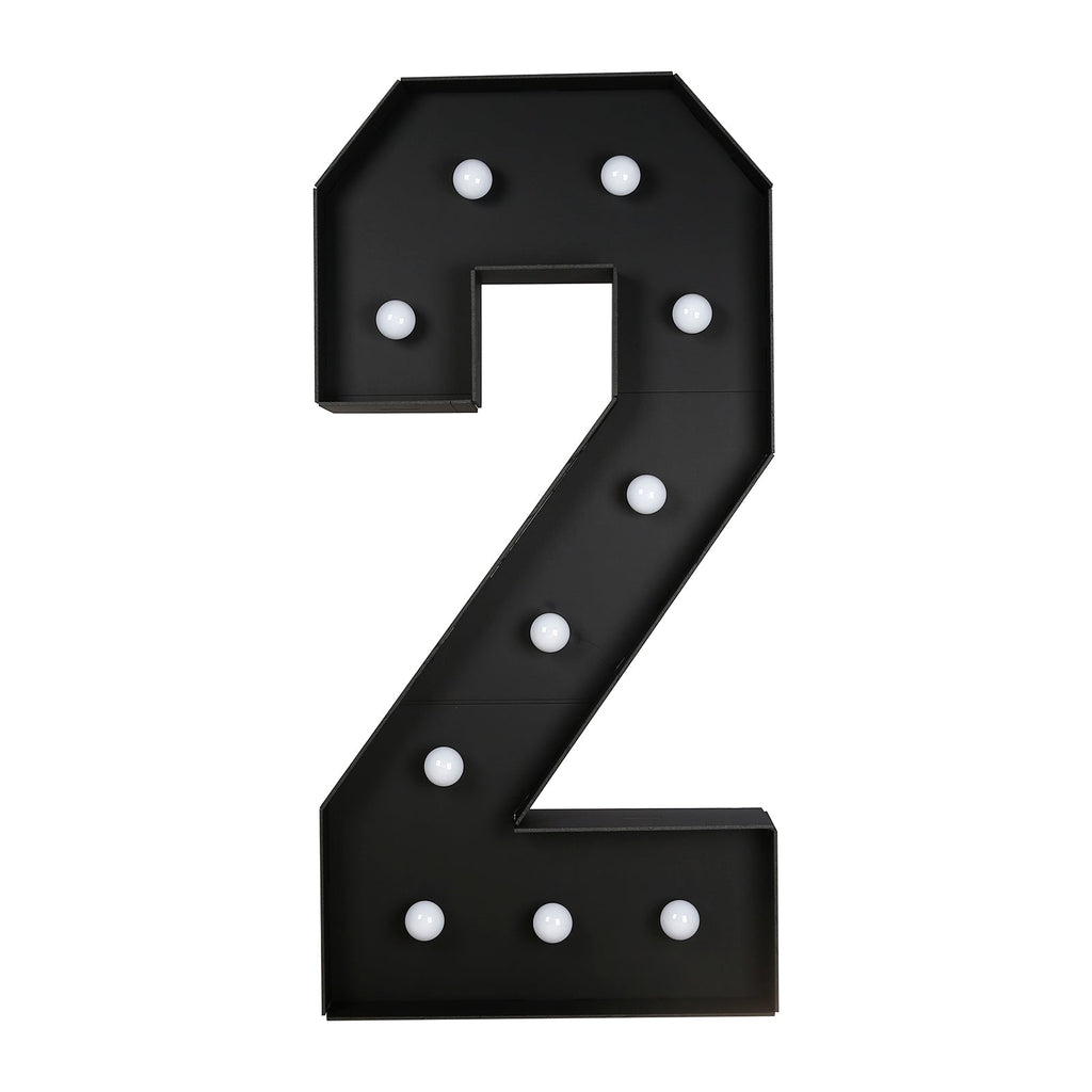 Giant LED Marquee Light Up Number "2", Black 4ft Pre - Cut Foam Board with 10 Warm White Battery Operated LEDs, Glue Gun and Sticks - Bell Racket Store