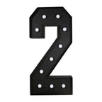 Giant LED Marquee Light Up Number "2", Black 4ft Pre - Cut Foam Board with 10 Warm White Battery Operated LEDs, Glue Gun and Sticks - Bell Racket Store