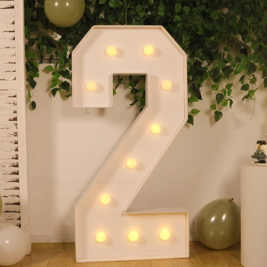 Giant LED Marquee Light Up Number "2", White 4ft Pre - Cut Foam Board with 10 Warm White Battery Operated LEDs, Glue Gun and Sticks - Bell Racket Store