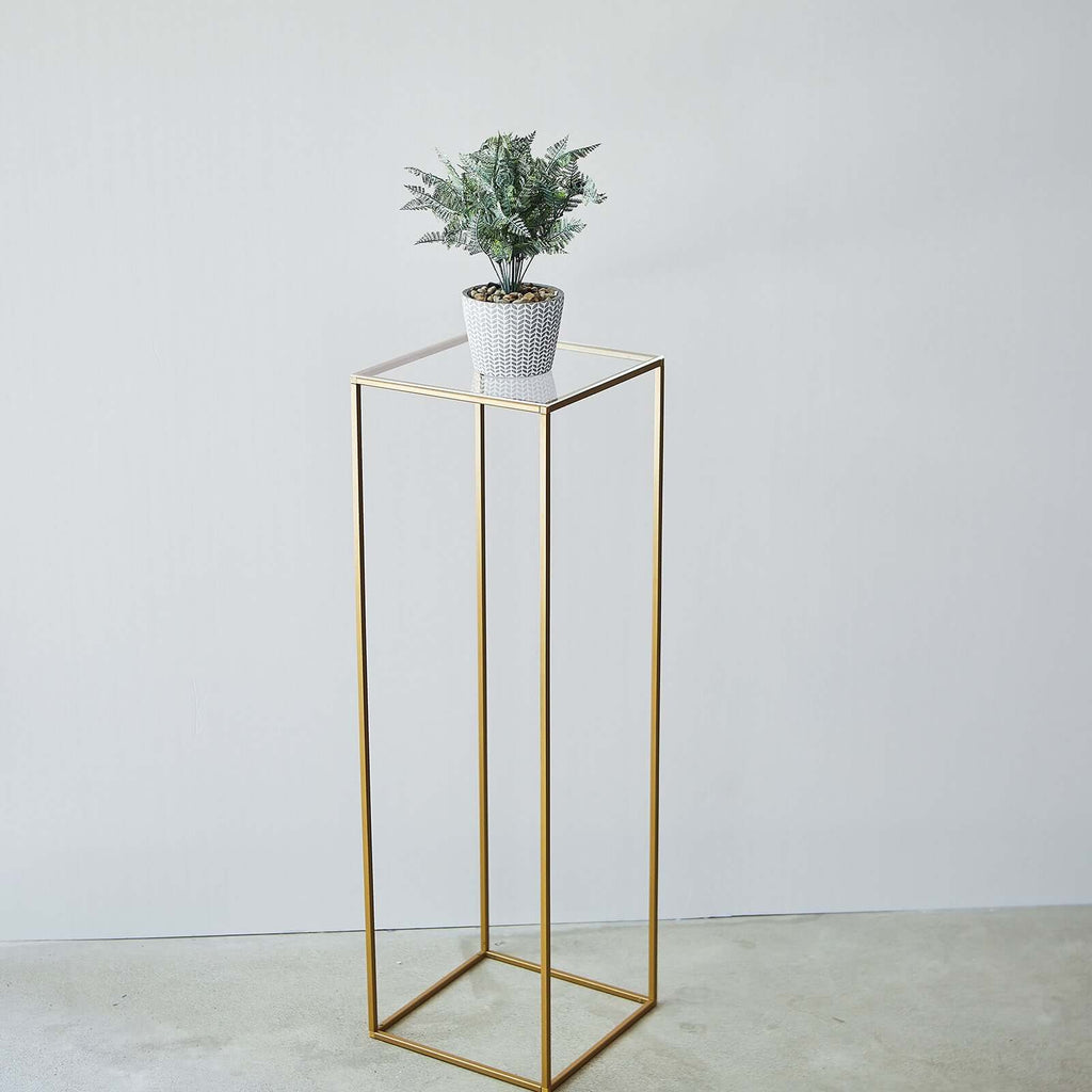 2-Pack Acrylic Plexiglass Sheets Top Plates Clear Square - Protective Film Coating 12" 3mm Thick