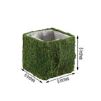 4-Pack Square Planter Boxes Covered with Inner Lining Green Preserved Moss - Flower Basket Centerpieces 6"