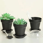 12-Pack Dessert Cups Succulent Planter Design Black - Plastic Serving Cups with Lids and Shovels 4"