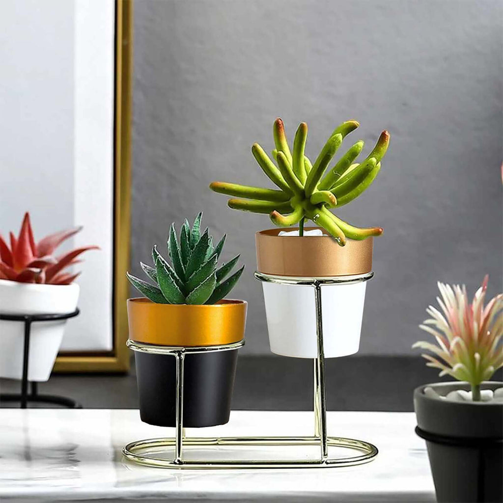 3-Pack Flower Plant Pots Small Design Black with Gold Rim - Plastic Indoor Decorative Planters 3"