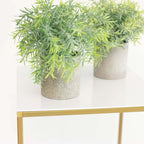 2-Pack Acrylic Plexiglass Sheets Top Plates White Square - Protective Film Coating 11" 3mm Thick