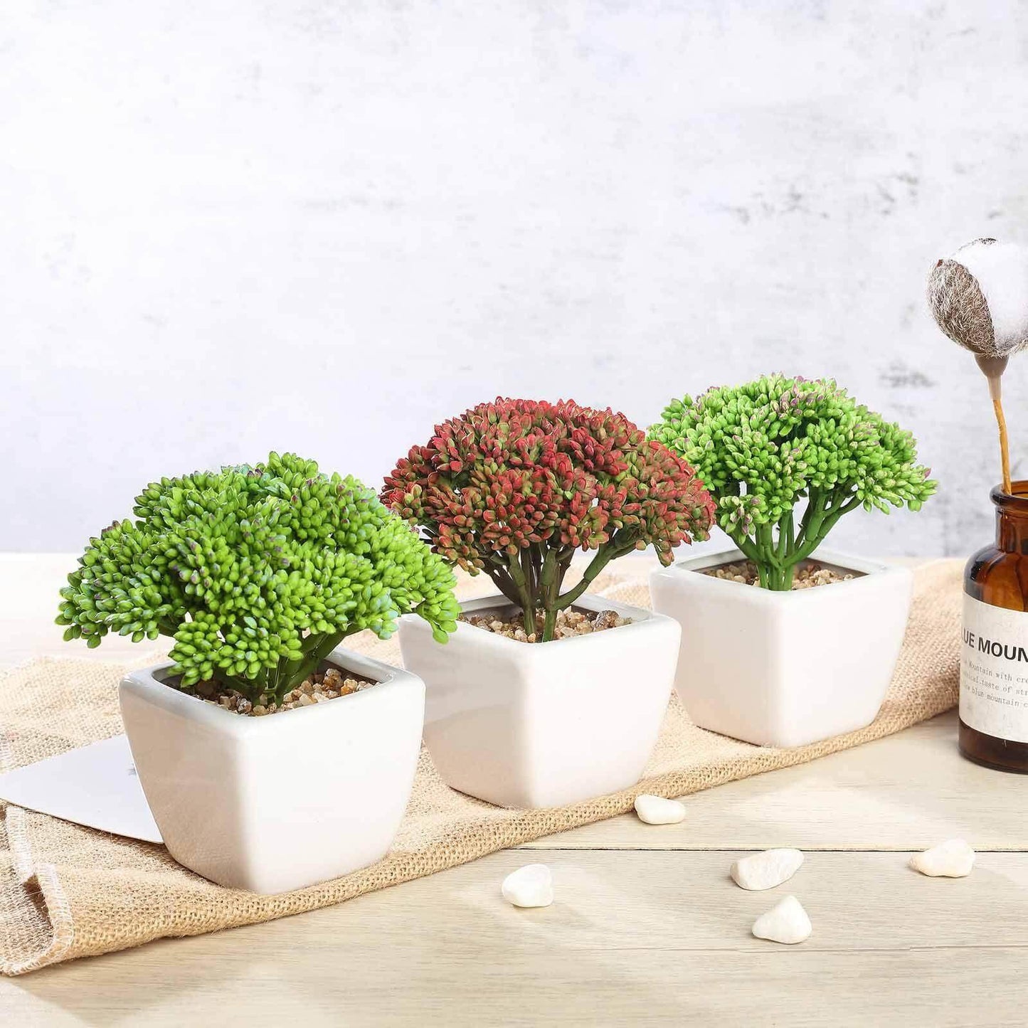 3-Pack Joy Sedum Artificial Succulents in Ceramic Pots - Lifelike Decorative Faux Plants for Home Office & Event Design 6"