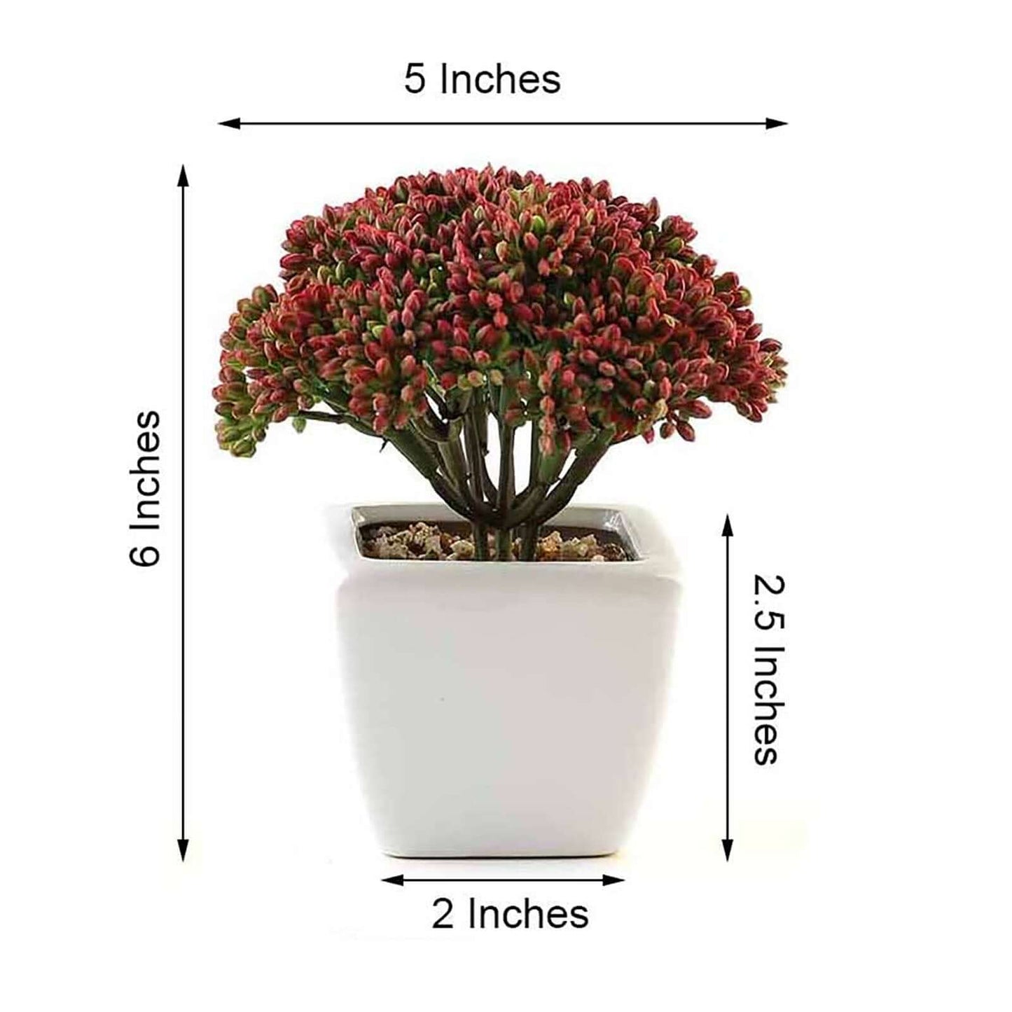 3-Pack Joy Sedum Artificial Succulents in Ceramic Pots - Lifelike Decorative Faux Plants for Home Office & Event Design 6"