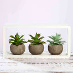 3-Pack Aloe Artificial Succulents in Ceramic Pot - Lifelike Decorative Faux Plants for Home Office & Event Design 5"