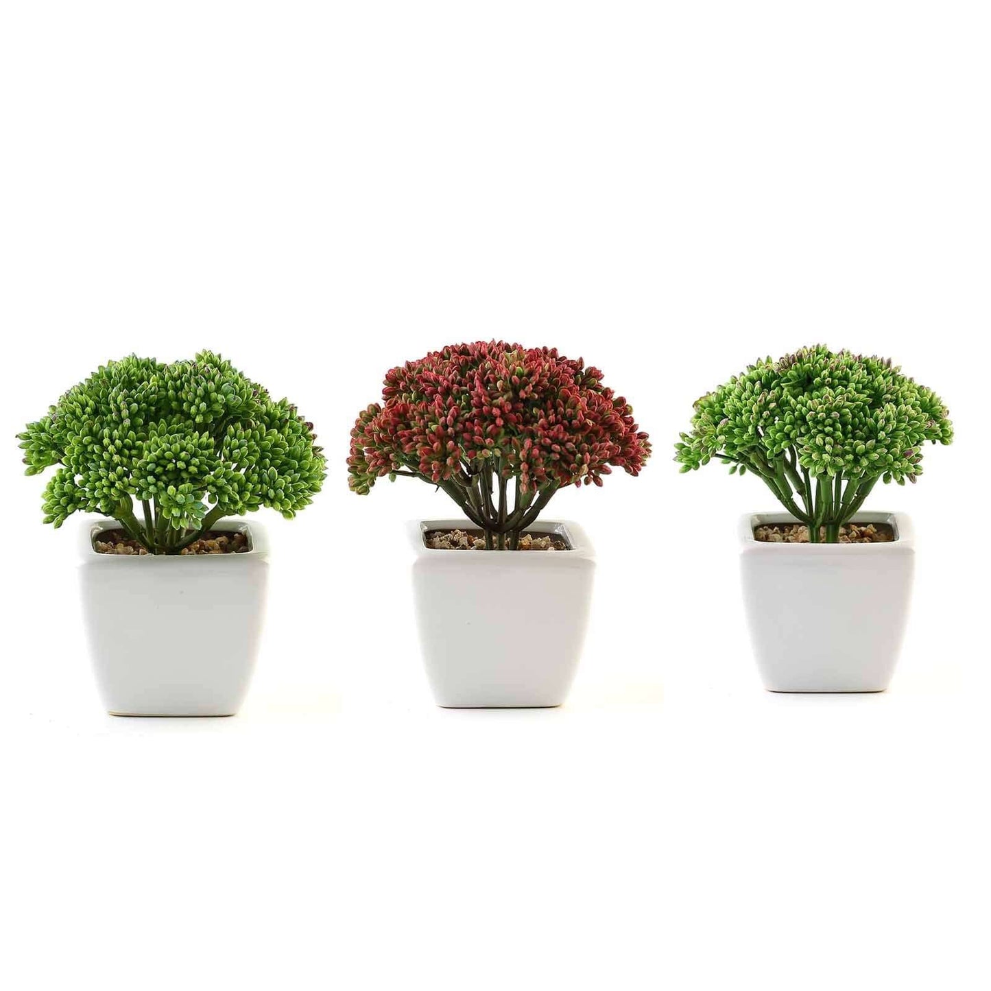 3-Pack Joy Sedum Artificial Succulents in Ceramic Pots - Lifelike Decorative Faux Plants for Home Office & Event Design 6"