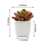 3-Pack Echeveria Elegans Artificial Succulents in Ceramic Pot - Lifelike Decorative Faux Plants for Home Office & Event Design 3"