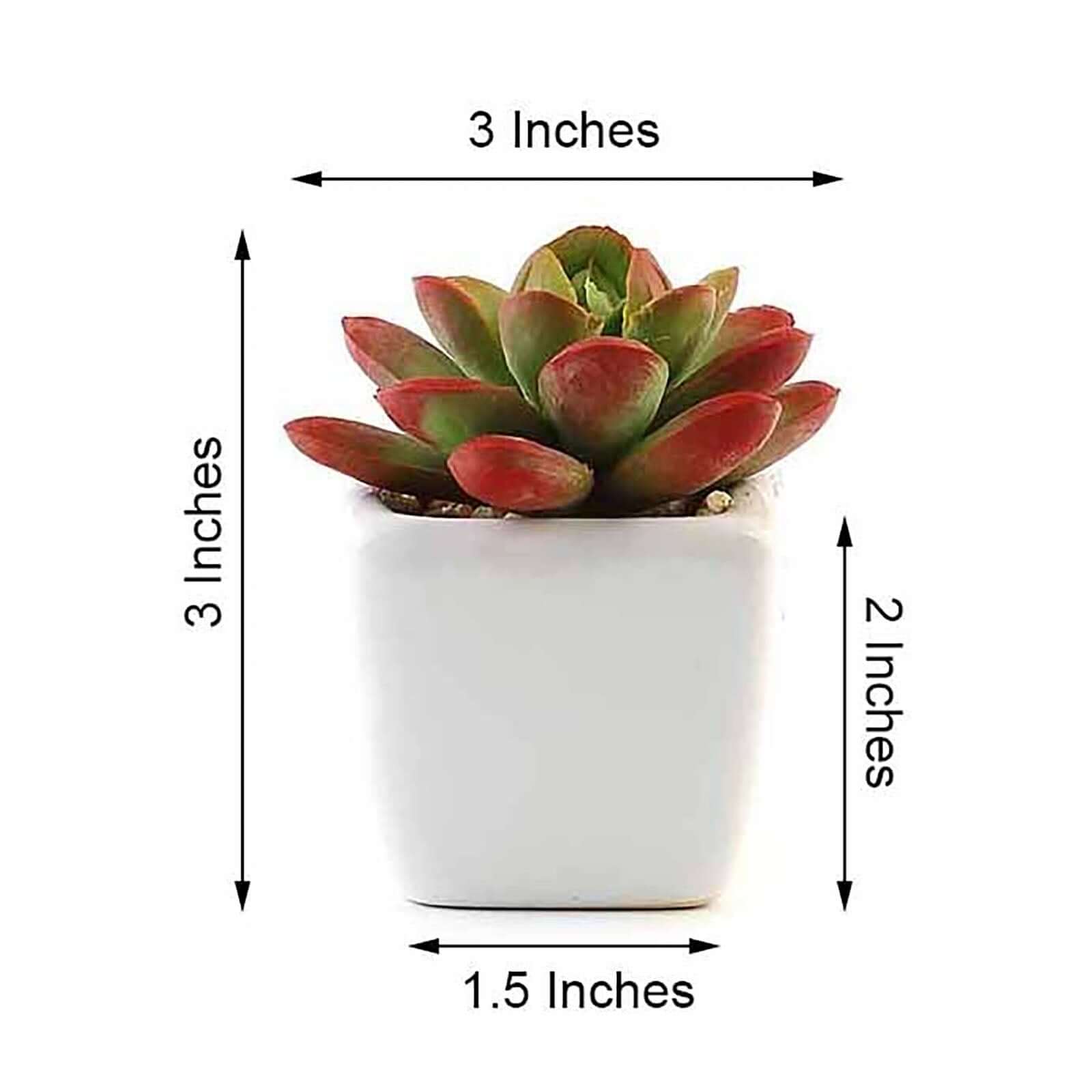 3-Pack Echeveria Elegans Artificial Succulents in Ceramic Pot - Lifelike Decorative Faux Plants for Home Office & Event Design 3"