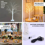 Lighted Birch Tree Lamp White Design Warm White - Battery Operated Rechargeable LED Table Accent 2ft - Bell Racket Store