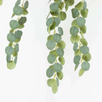 3 Pack 41" Green Real Touch Hanging Silk Silver Dollar Leaf Plant Stems, Artificial Indoor Eucalyptus Sprays