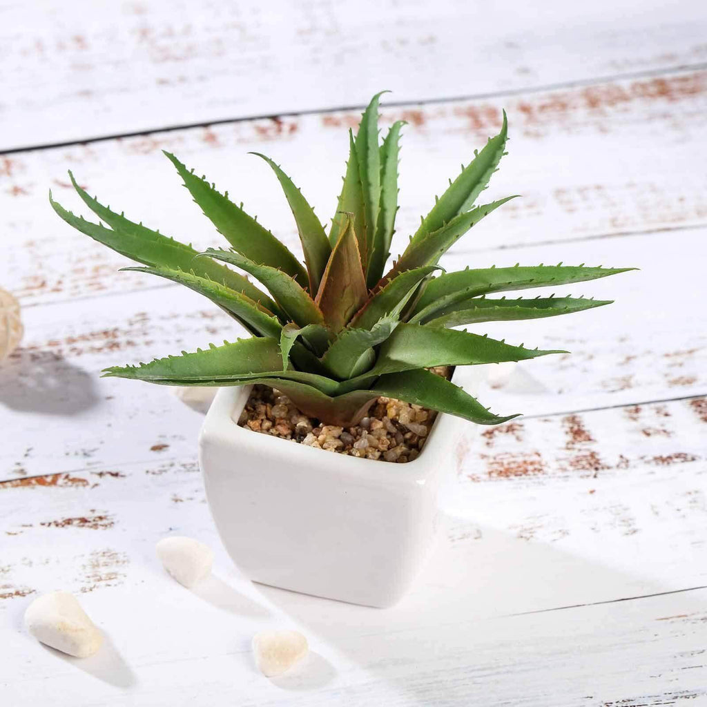 3-Pack Spotted Aloe Vera Artificial Succulents in Ceramic Pot - Lifelike Decorative Faux Plants for Home Office & Event Design 5"