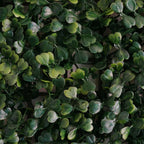 11 Sq ft. Dark Green Boxwood Hedge Garden Wall Backdrop Mat - 4 Artificial Panels