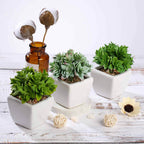 3-Pack Echeveria Artificial Succulents in Ceramic Pot Green - Lifelike Decorative Faux Plants for Home Office & Event Design 4"