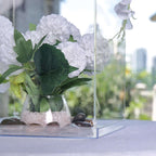 12" Clear Mirrored Acrylic Display Box, Transparent Pedestal Riser with Interchangeable Lid and Base