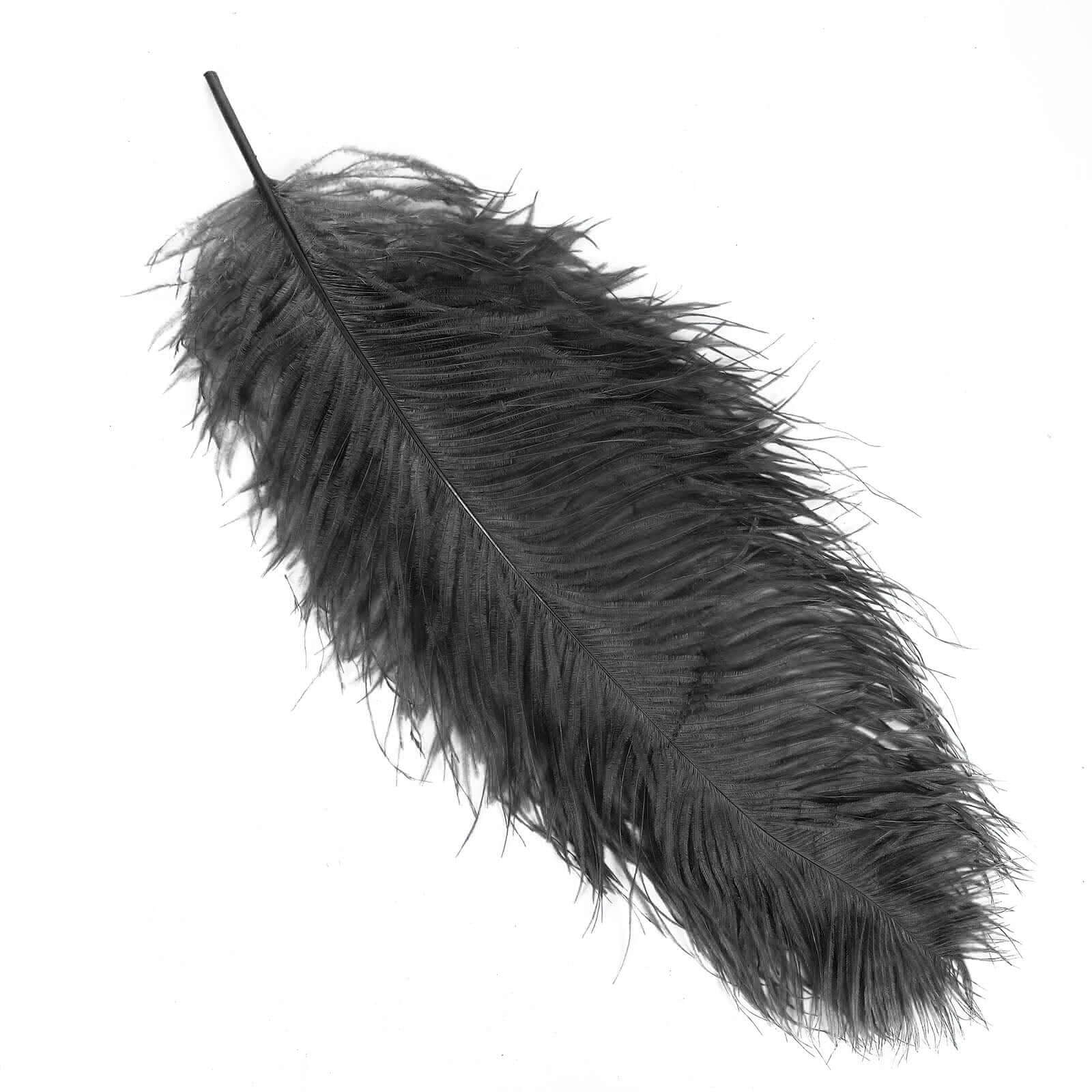12 Pack Black Natural Plume Ostrich Feathers Centerpiece Filler - 24"-26"