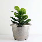 14" Silver Chrome Finished Rim Large Barrel Planter Pot, Indoor Outdoor Decorative Flower Pot