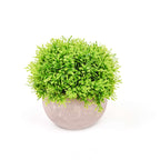 2 Plant Set Artificial Boxwood Topiary Ball 5" - Maintenance Free Mini Faux Potted Greenery Decor