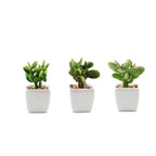 3-Pack Mini Jade Artificial Succulents in Ceramic Pots - Lifelike Decorative Faux Plants for Home Office & Event Design 3"