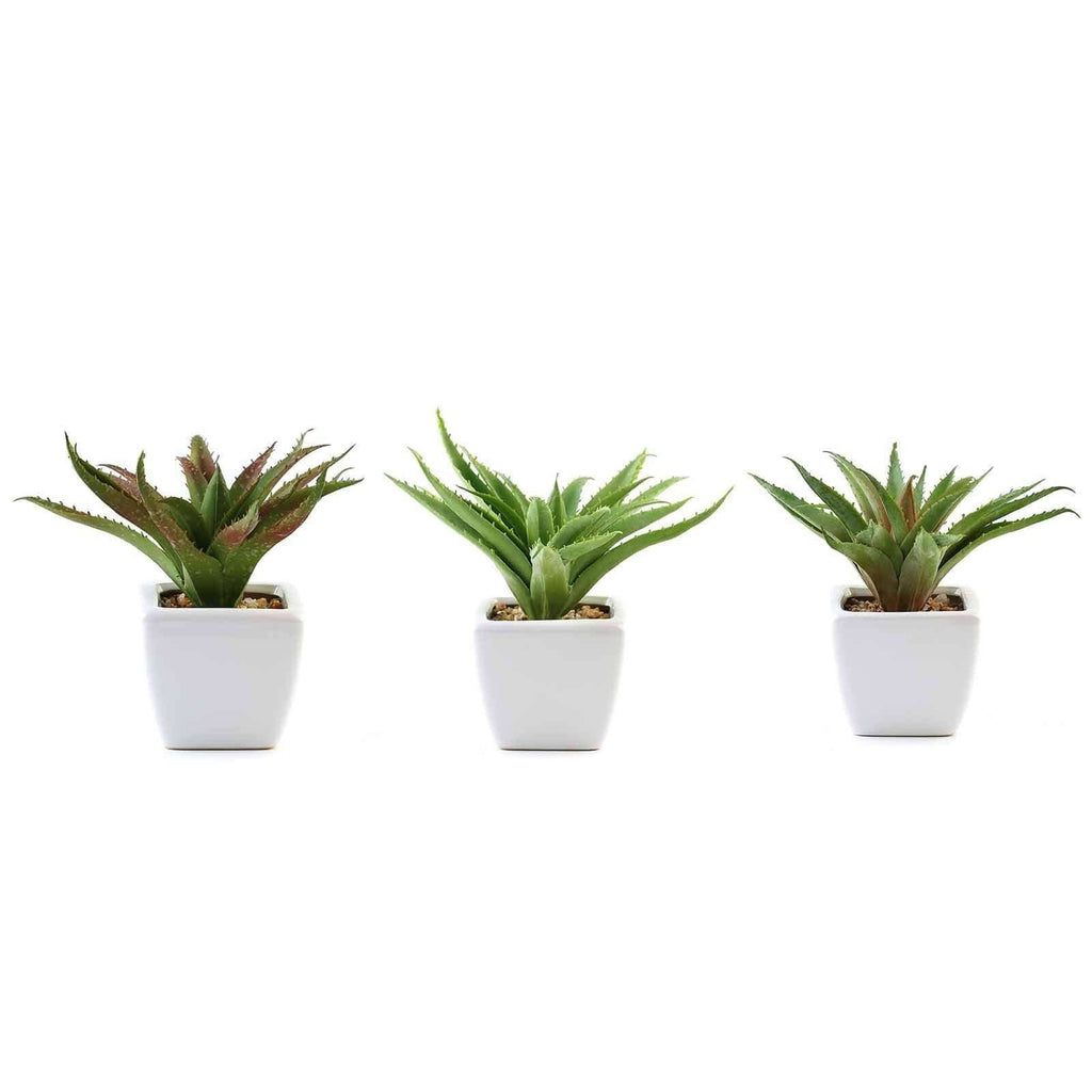 3-Pack Spotted Aloe Vera Artificial Succulents in Ceramic Pot - Lifelike Decorative Faux Plants for Home Office & Event Design 5"