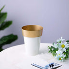 2-Pack Flower Plant Pots Medium Design White with Gold Rim - Plastic Indoor Decorative Planters 6"