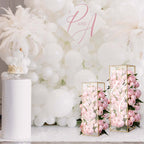 2-Pack Acrylic Plexiglass Sheets Rectangular Side Plates Clear - Protective Film Coating 40"x12"