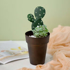 2-Pack Flower Plant Pots Medium Design Rustic Brown - Plastic Indoor Decorative Planters 6"