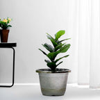 14" Silver Chrome Finished Rim Large Barrel Planter Pot, Indoor Outdoor Decorative Flower Pot