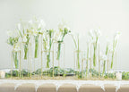 Set of 5 Wedding Centerpieces Gold Frame Conjoined Geometric Design - Test Tube Hydroponic Vases 12"