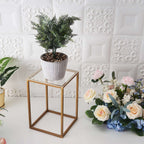 2-Pack Acrylic Plexiglass Sheets Top Plates Clear Square - Protective Film Coating 8" 3mm Thick