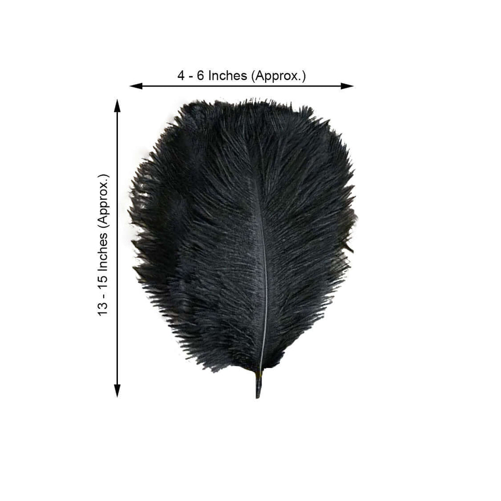 12 Pack 13"-15" Black Natural Plume Real Ostrich Feathers, DIY Centerpiece Fillers