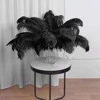 12 Pack Black Natural Plume Ostrich Feathers Centerpiece Filler - 24"-26"