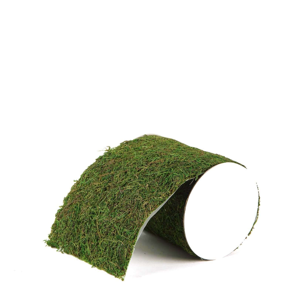 4ft 5" Wide Green Preserved Moss Ribbon Roll, DIY Craft Ribbon